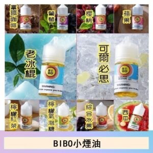 BIBO經典系列主機小煙油30ML