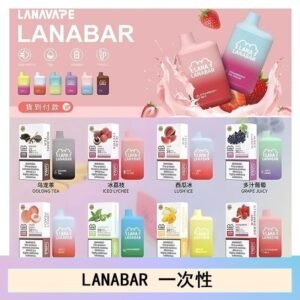LANA BAR可充电一次性電子煙霧化5000口(3.0%)