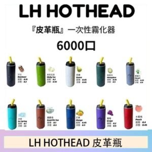LH HOTHEAD皮革瓶電子煙可充電6000口一次性