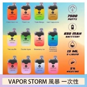 Vapor Storm風暴電子煙7500口（5%）一次性